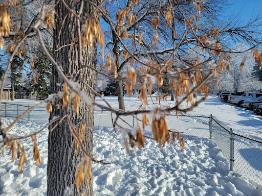 Exchange Club Park