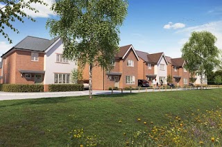 Evergreen Parade - Bloor Homes, Bridgwater