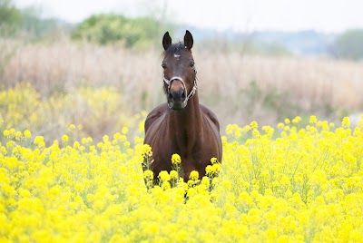 利根リバーサイドクラブ