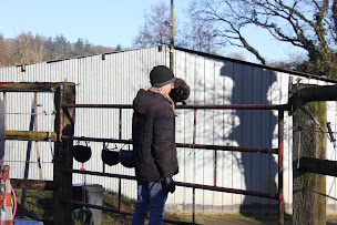 Photo n°3 de Le Cheval un Guide vers l'Équilibre et la Liberté à La Lucerne-d'Outremer (Association ou organisation)