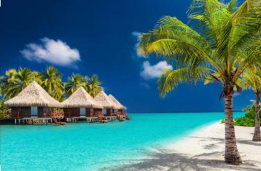 VIP Travel Express