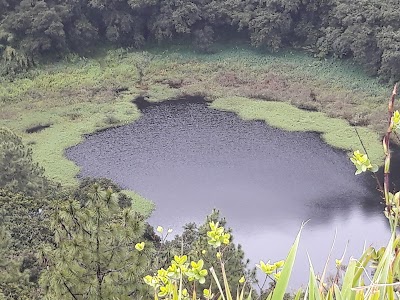 Photos of Trou Aux Cerfs Volcano