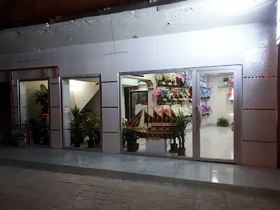 Photos of Florya Floriculture