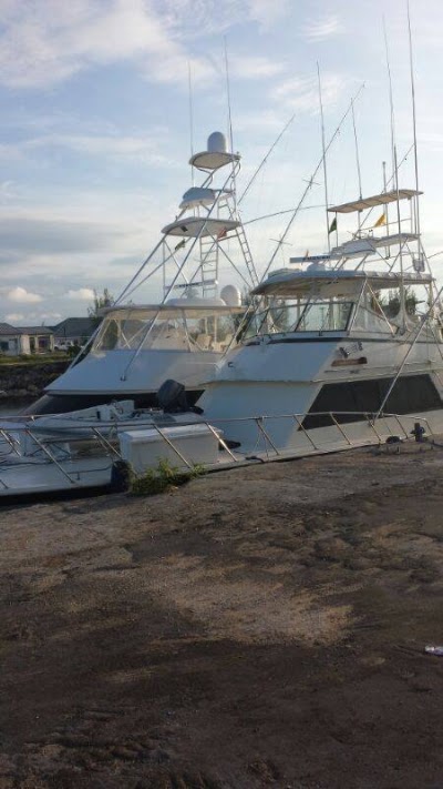 Photos of Marlin Madness