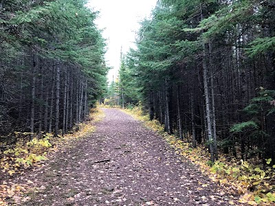 Pincushion Mountain Trail System