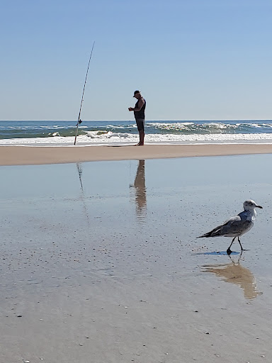 American Beach Access - Visual