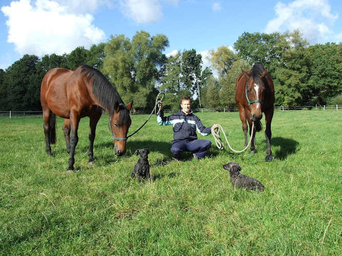 Pferde und Hunde Physiotherapie & Osteopathie & Tierheilpraktik