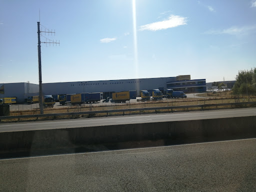 Sitrans Transports SA - Thumbnail