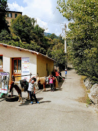 Photo n°14 de Centre Equestre de l'Amitié à Touët-sur-Var (Centre équestre)