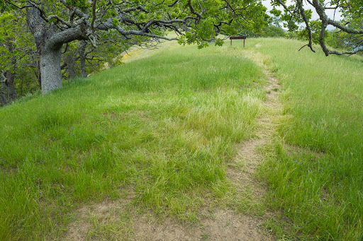 Oak View Backpack Camp