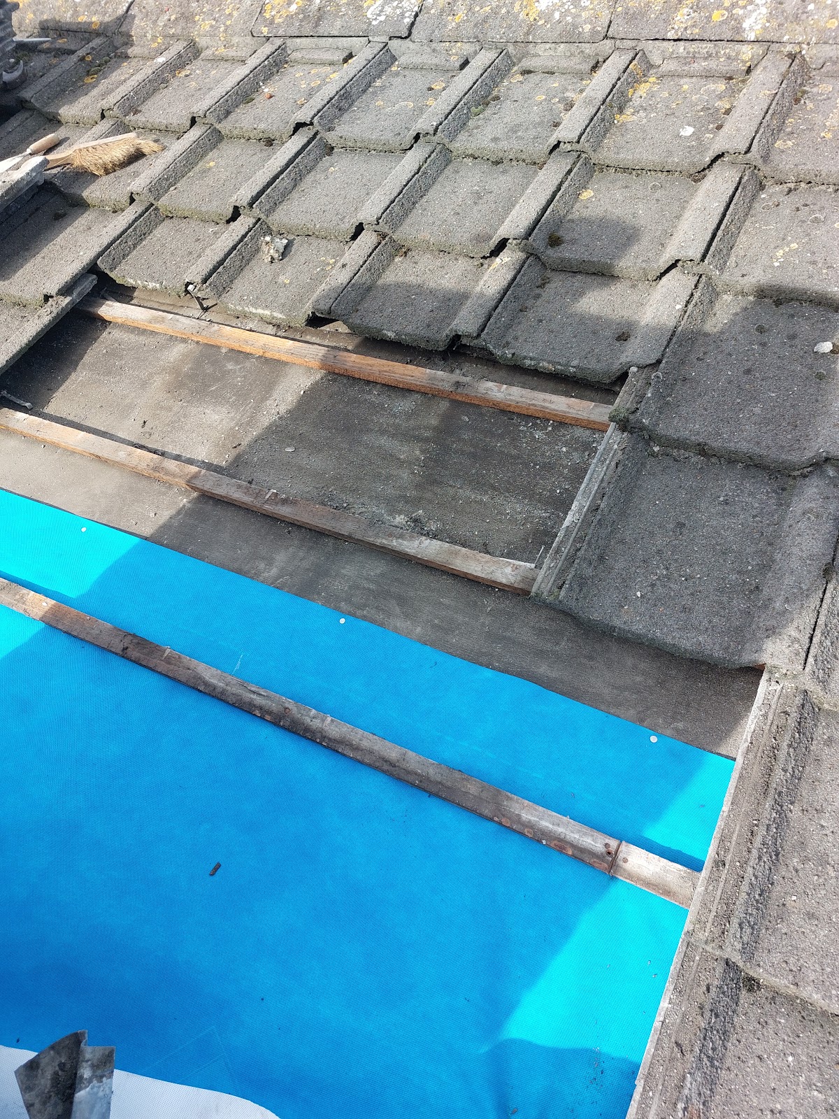 Wilson Property Maintenance