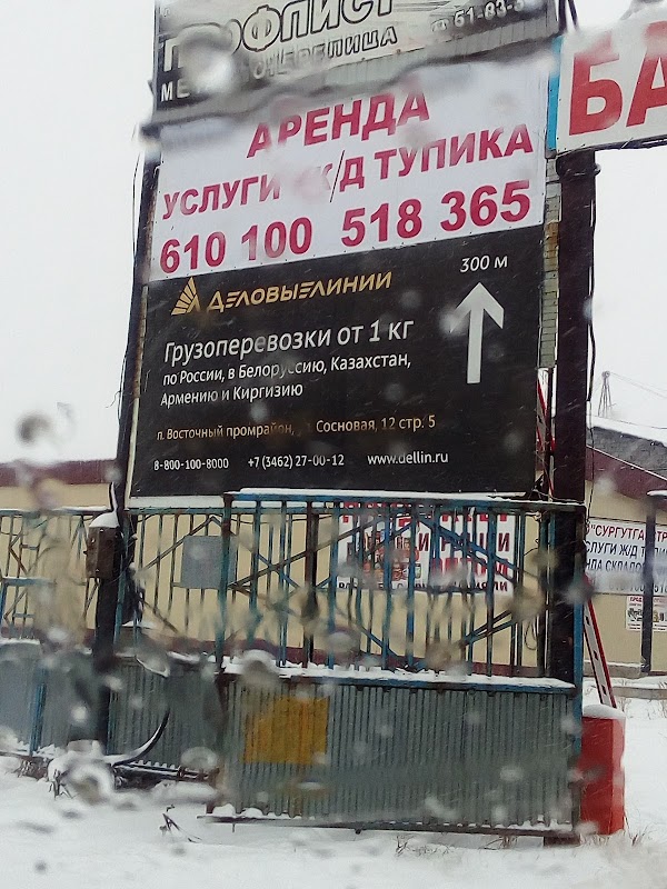 Сайт 5 сургут