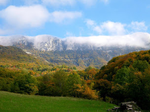 Photo n°7 de Domaine de flores à Barbières (Gîte)
