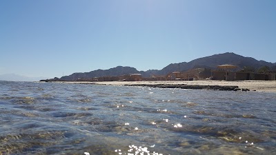 Photos of Aquarium camp