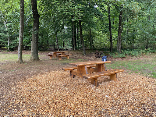 Fraiheetsbam (forêt entre Strassen et Bridel) - Thumbnail