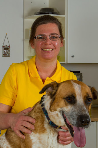 Ruppert Sabine Dr.med.vet. Tierarztpraxis