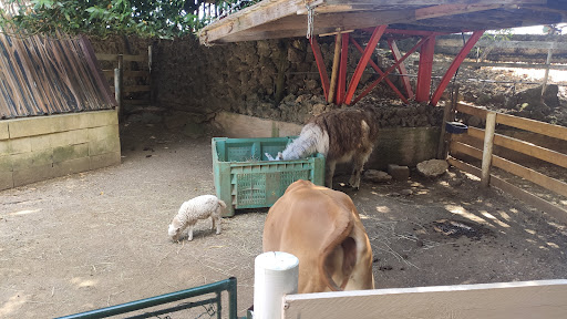 Fattoria didattica