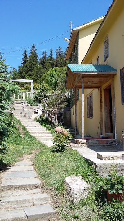 Photos of K&uuml;mbet ŞALE