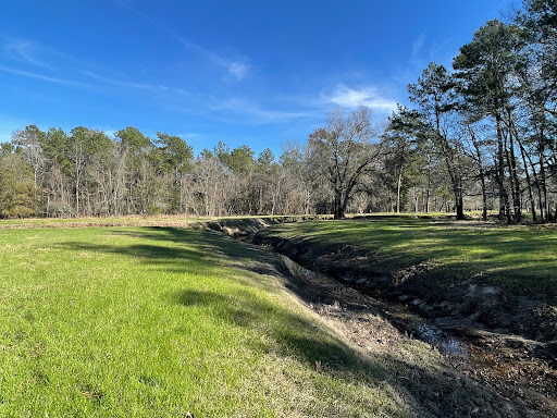 Shadow Point Park - Visual