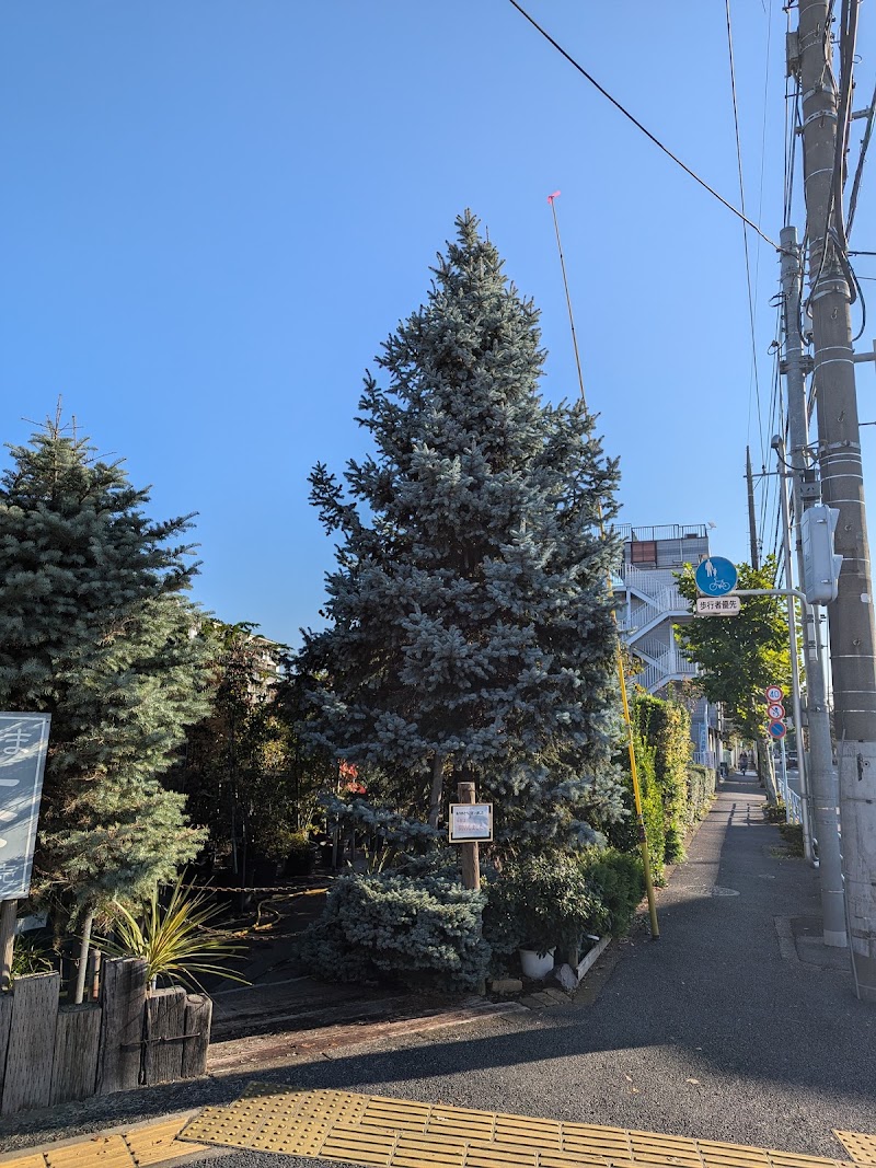 （有）須崎樹苗