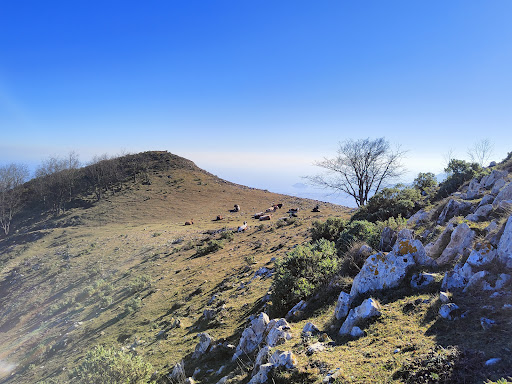 Monte Acuto - Visual