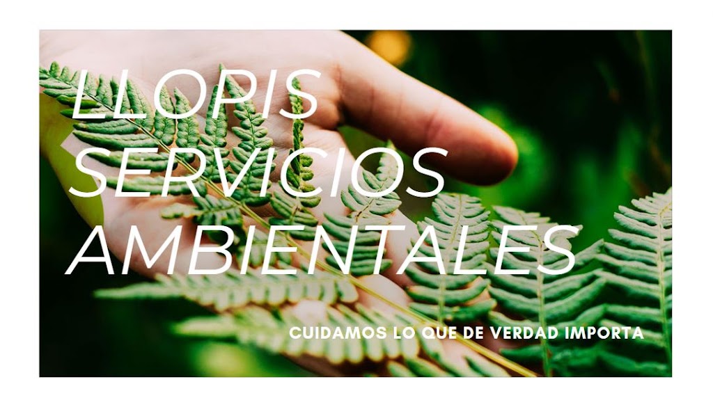 LLOPIS Servicios Ambientales