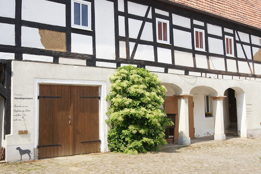 Hundeberaterin - Ines Zuschke Gallery - Germany