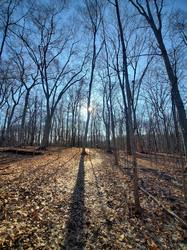 Seneca Ponds - Visual