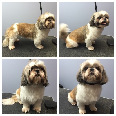 Darling Dog Grooming