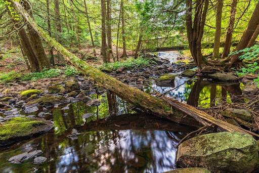 O'Hara Mill Homestead and Conservation Area - Thumbnail