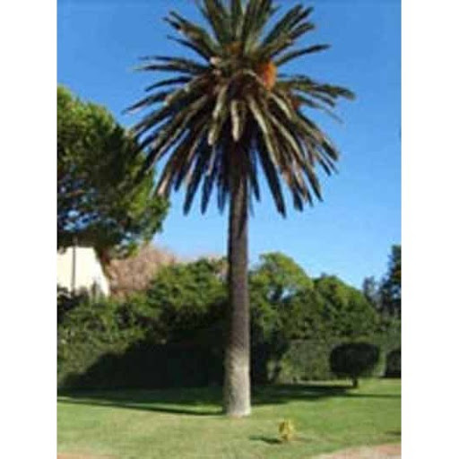 Emmesse Giardinaggio - Thumbnail