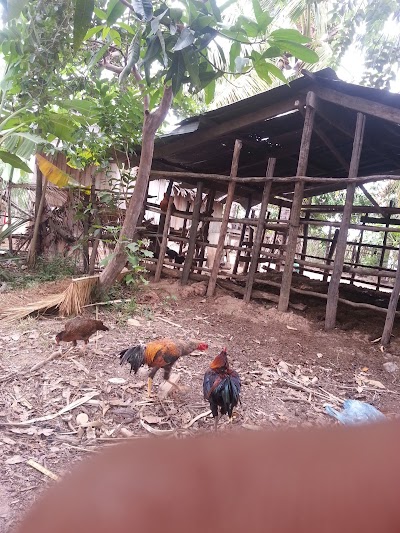 Photos of Detour Road Siem Reap Preah Vihear