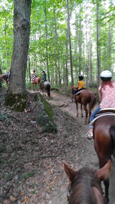 Photos of Happy Trails Horse Back Rides