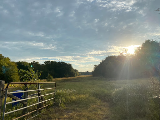 Blackland Ranch - Visual