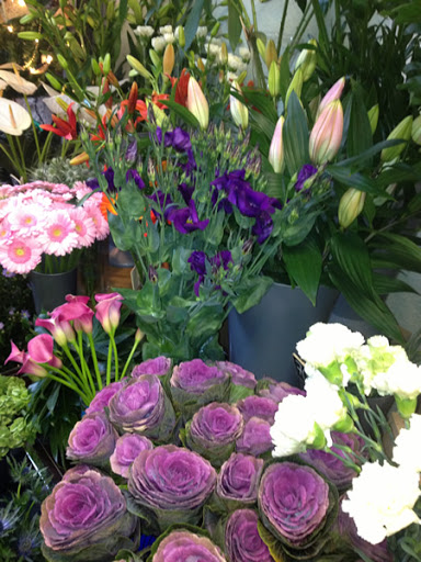 Darling Buds Florists - Thumbnail