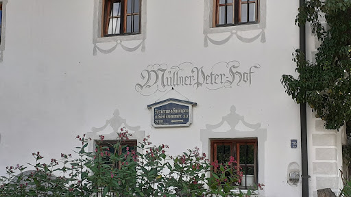 Müllner Alm - Visual