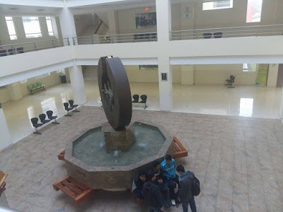 university