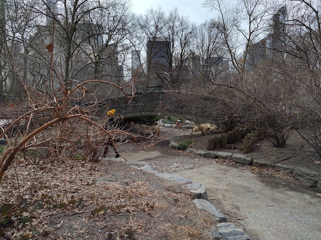 Billy Johnson Playground