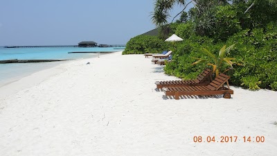 travel-agency