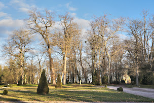 Photo n°14 de Château de Beguin à Lurcy-Lévis (Hôtel)
