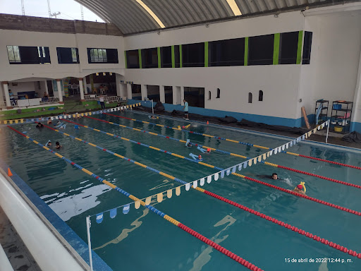 Kabubis natación - Mexico