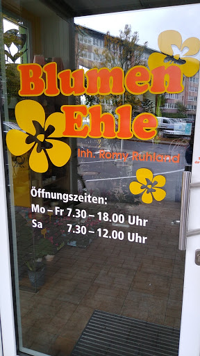 Blumen Ehle - Visual