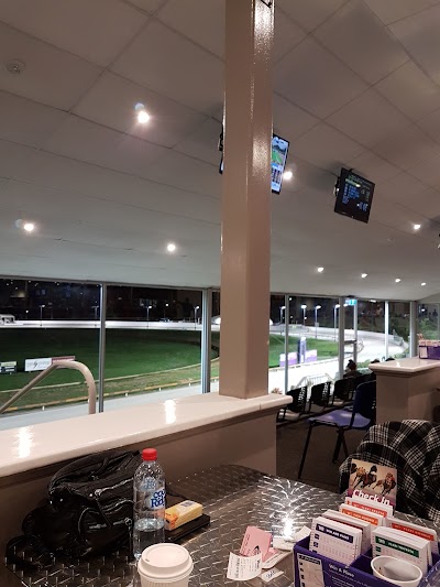 Photos of Greyhounds WA