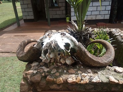 Photos of Mount Elgon National Park