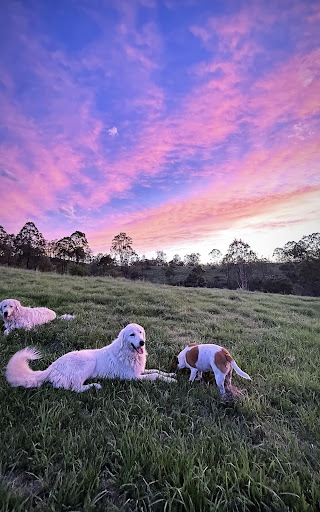 The Ranch on Clarence - Thumbnail