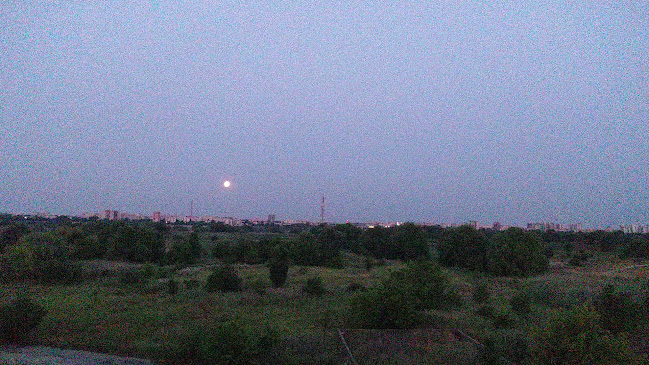 Comentarii opinii despre SERVICEAUTOVITAN