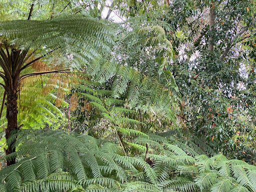 Sands Place Park - Thumbnail