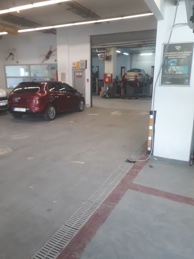 Photos of Hali&ccedil; Oto FIAT Yetkili Bayi