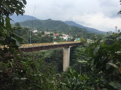 Photos of Botanical Garden