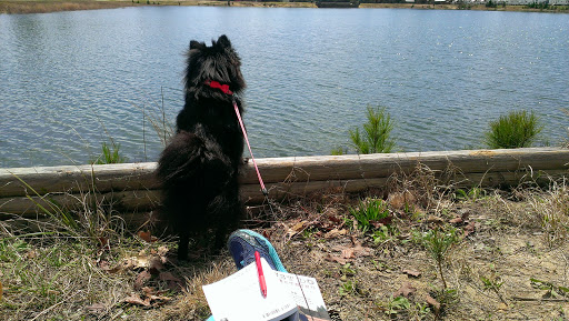 Thomson Lake Recreation Park - Thumbnail